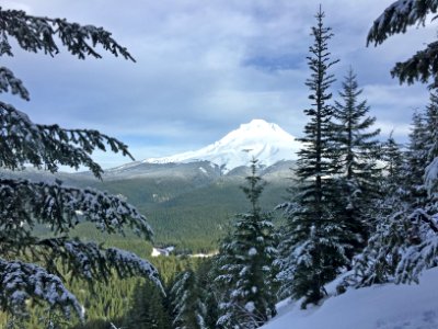 View of Mt Hood by Timothy Lake,  Mt Hood National Forest