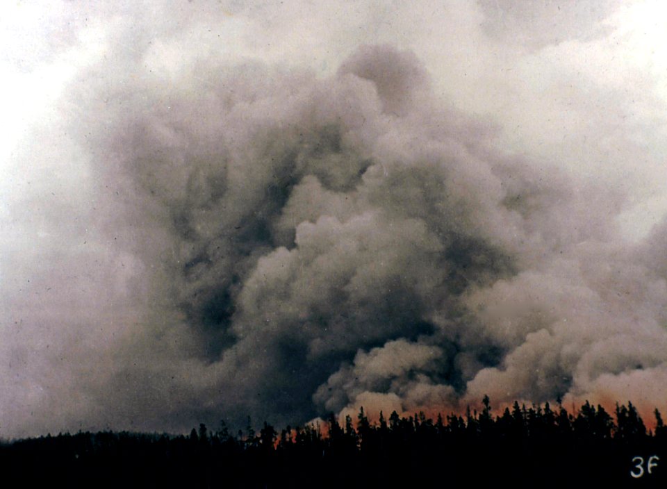 36220A Forest Fire