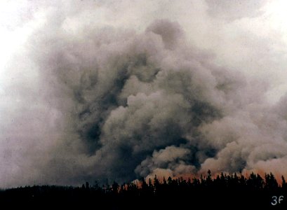36220A Forest Fire