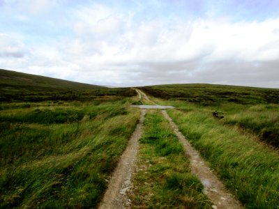 Lonely road over the moor