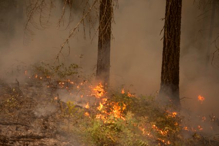 Smoking-fire