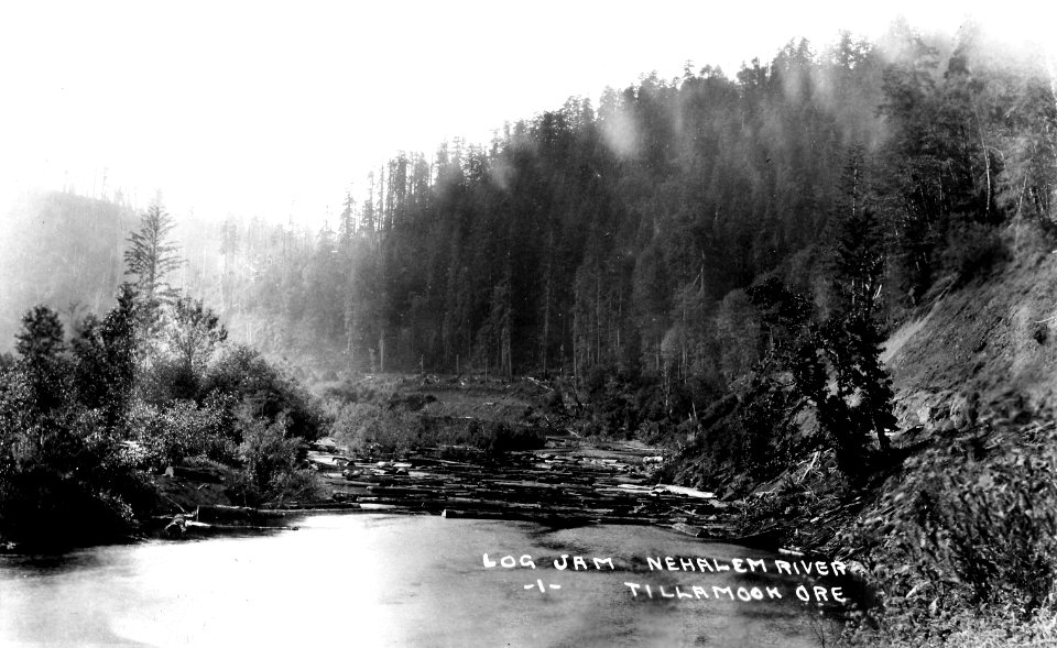1 Log Jam, Nehalem River, Tillamook, Ore