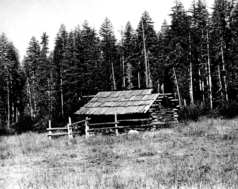 Cascade NF - Brock RS North of Oakridge, Oregon 1908