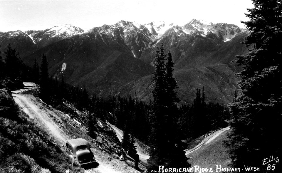 85 Hurricane Ridge Highway, Wash - Ellis