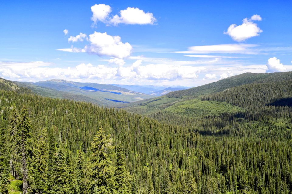 View from Canuck Pass on the Idaho Panhandle National Forests