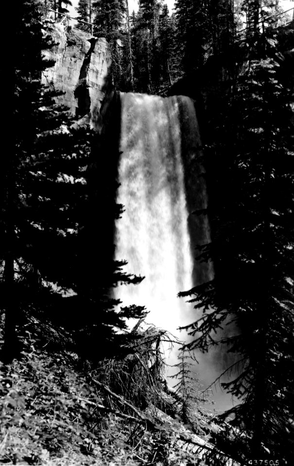 437505 Tumalo Falls, Deschutes NF, OR 1945 (2)