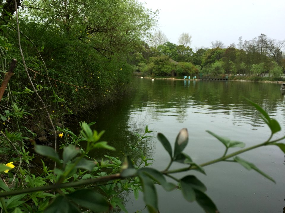 鄱陽湖濕地公園～江西省China