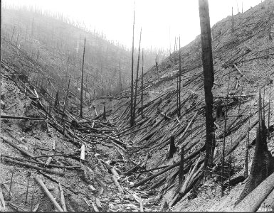 43808 Burned Area 1910 Fires in ID