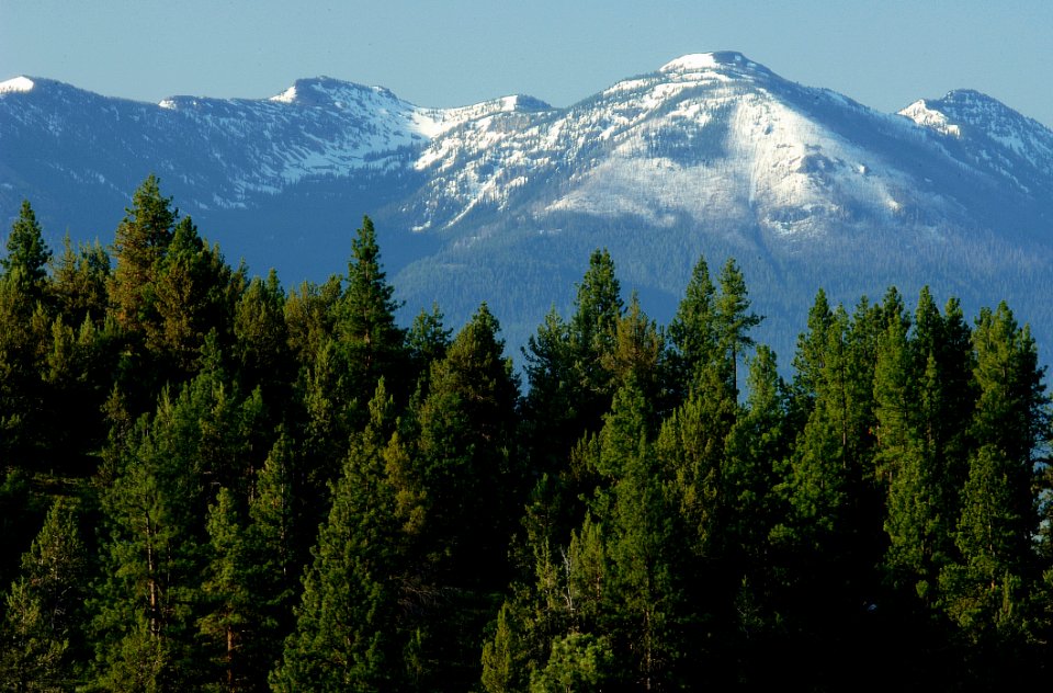 Strawberry Mountain Forests-Malheur photo