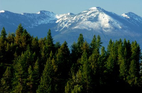 Strawberry Mountain Forests-Malheur photo