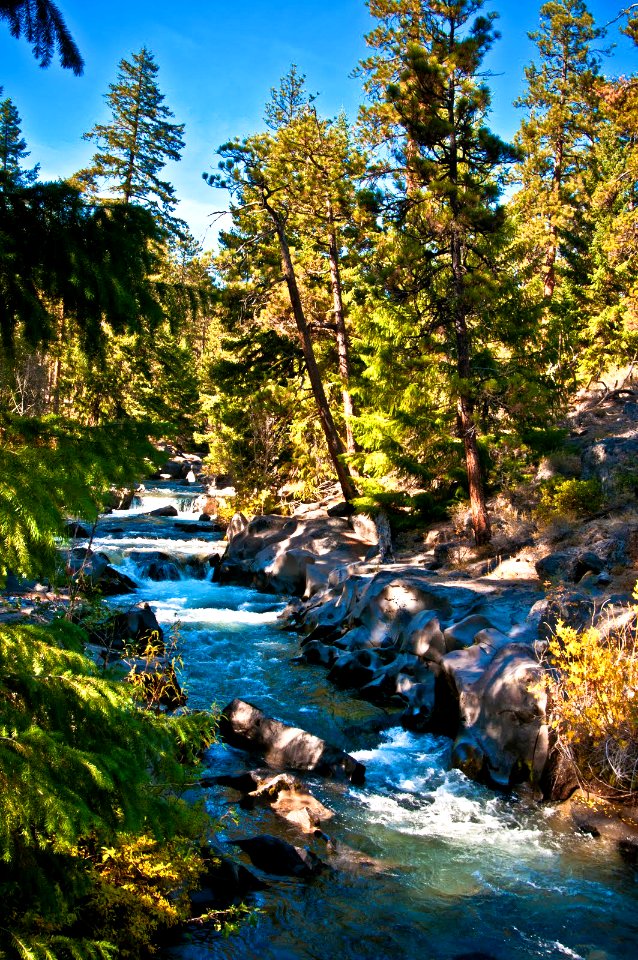 WHYCHUS CREEK AND FOREST DESCHUTES