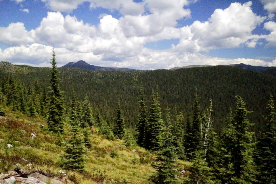 Canuck Peak rises above the Purcell Mountains on the border of the Kootenai and Idaho Panhandle National Forests