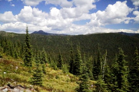 Canuck Peak rises above the Purcell Mountains on the border of the Kootenai and Idaho Panhandle National Forests