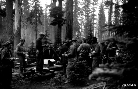 191046 Fire Fighting Camp