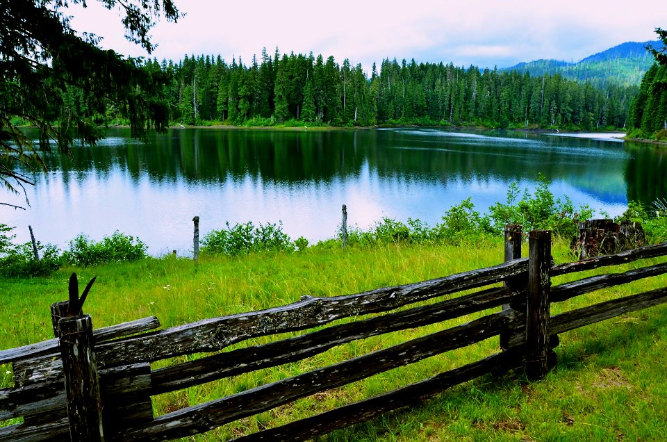 Willamette National Forest - Centennial Celebration at Fish Lake-108