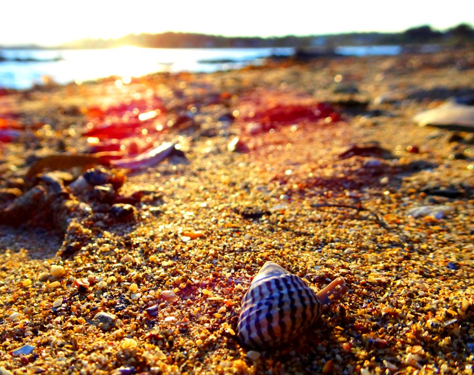 Sandy sunset photo