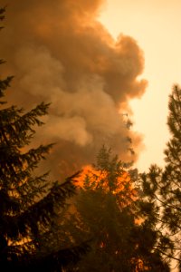 wildfire-emitting-smoke-lots-vertical photo