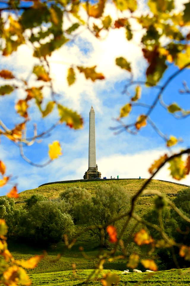 One Tree Hill Obelisk