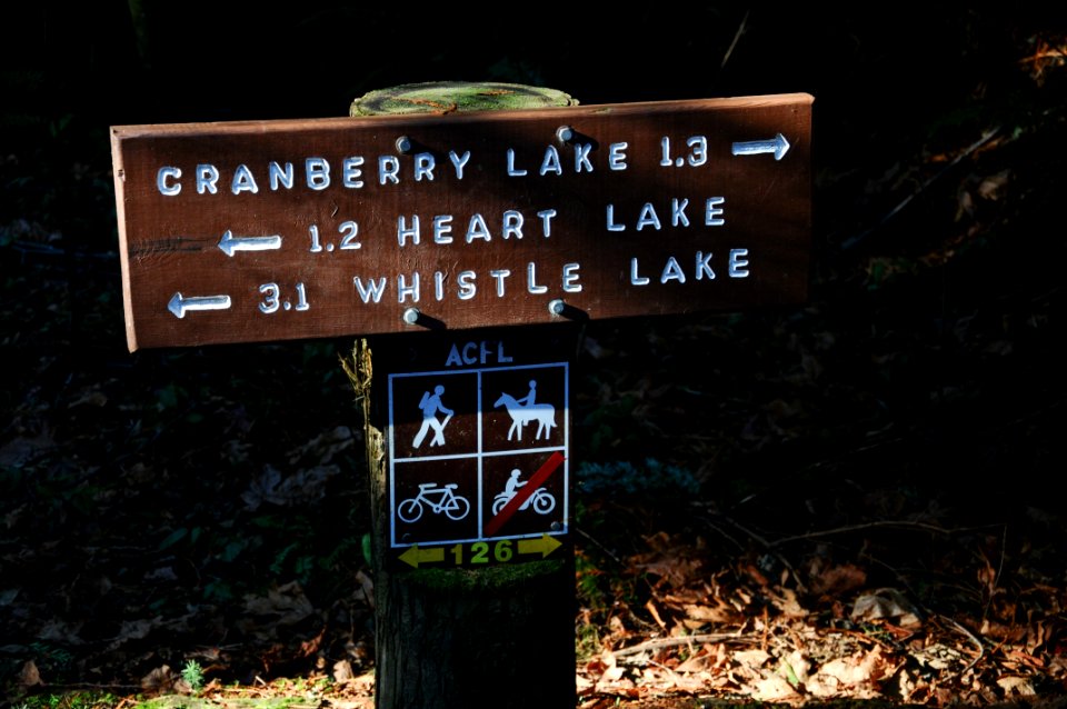 The Pacific Northwest Trail travels through the Anacortes Community Forest Lands