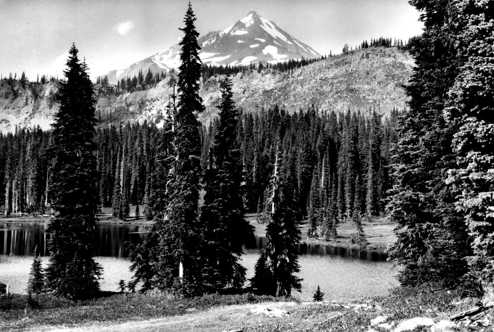 241753 Mt. Jefferson, Willamette NF, OR