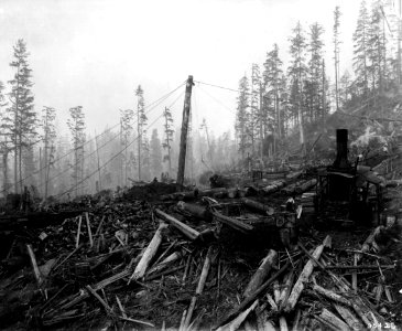 95425 Donkey Engine Operation, Snoqualmie NF, WA 1911 photo