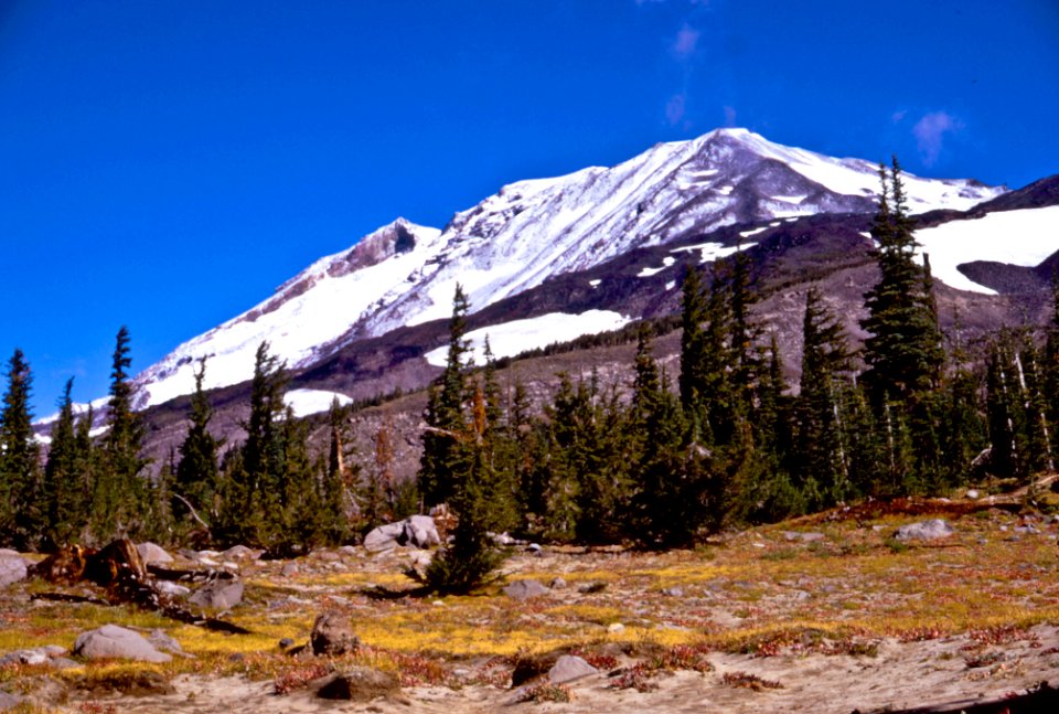 Mt Adams and the Ridge of Wonders-Gifford Pinchot