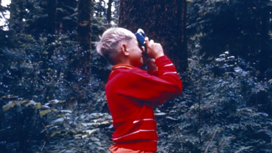 Boy Exploring in Forest photo