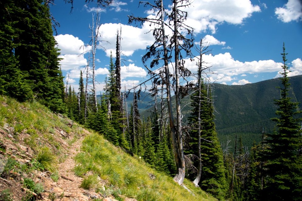 The Pacific Northwest Trail in the Ten Lakes Scenic Area