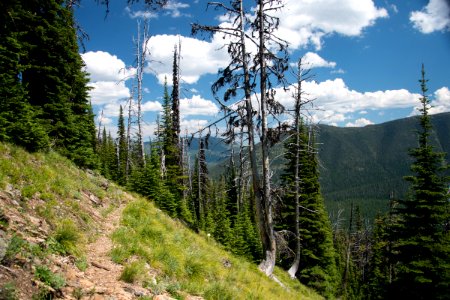 The Pacific Northwest Trail in the Ten Lakes Scenic Area photo