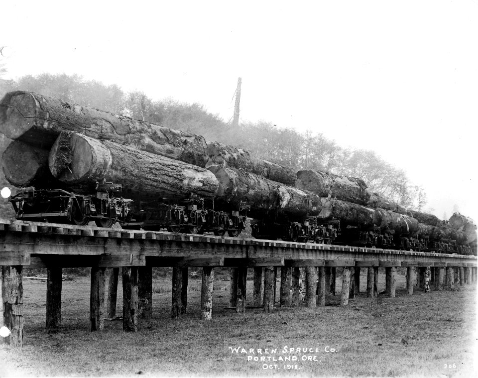 206 Spruce Logs on RR Cars