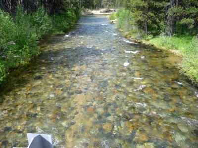 Forest and Stream, Wallowa-Whitman National Forest photo