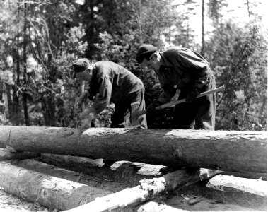 340294 CCC Peeling Logs, Wenatchee NF, WA 1936 photo