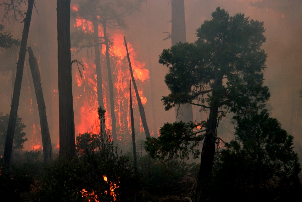 096 Rogue River-Siskiyou National Forest, Biscuit Fire