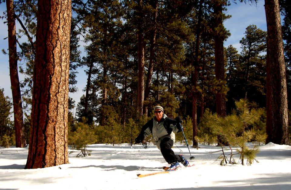 Man Telemark Skiing- Malheur photo