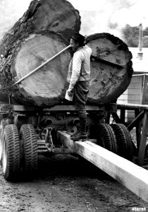 436786 Scaling Load at Fall Cr Scaling Station, Willamette NF, OR photo