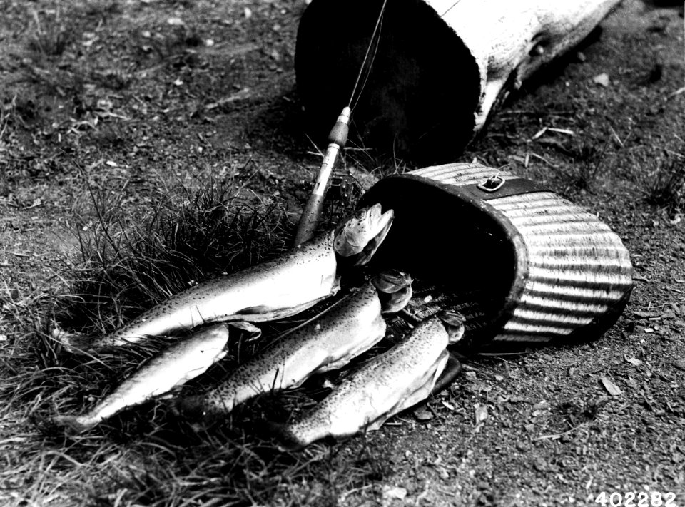 402282 Fish Catch in Paulina Lake, Deschutes NF, OR 1934