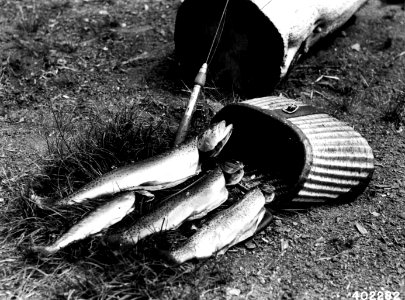 402282 Fish Catch in Paulina Lake, Deschutes NF, OR 1934