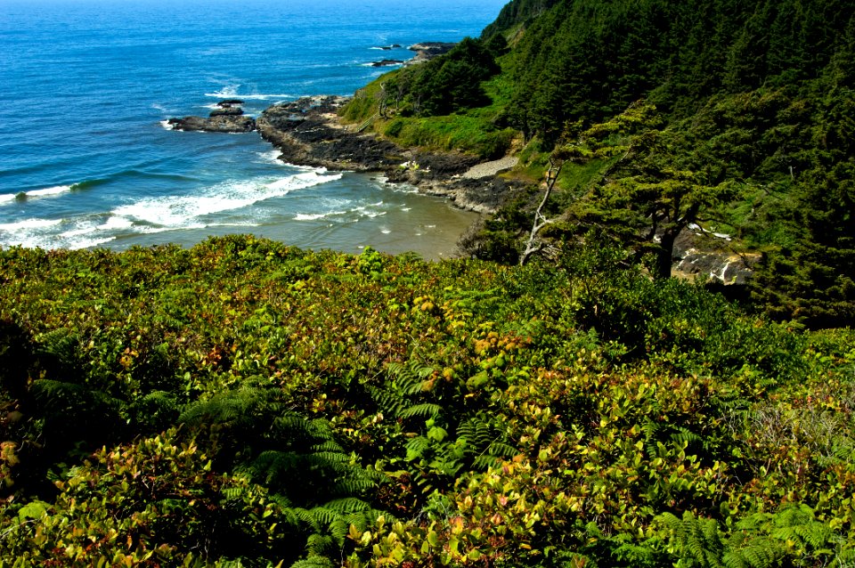 CAPE PERPETUA COAST-SIUSLAW