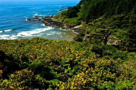 CAPE PERPETUA COAST-SIUSLAW
