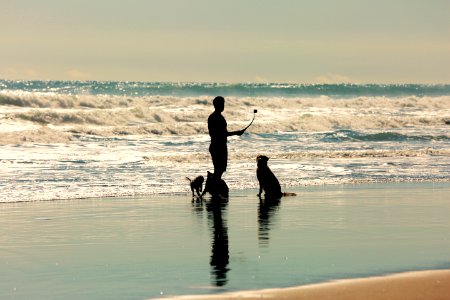 Reflecting on Man and His best friend