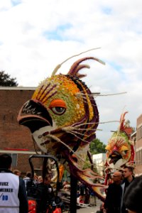 IMG 0527