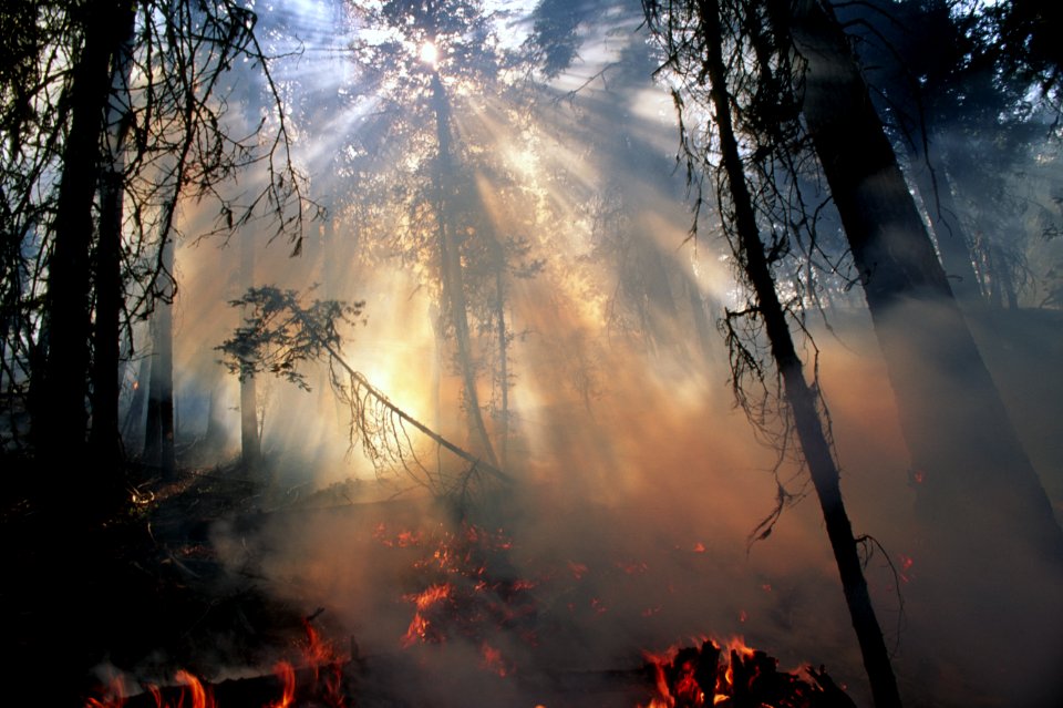 443 Ochoco National Forest Fire use