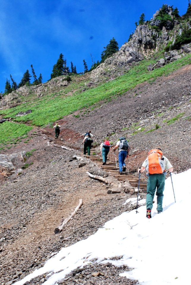 Group hiking at Mt Elinor 3-Olympic