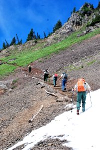 Group hiking at Mt Elinor 3-Olympic