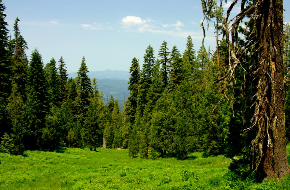 View from Butler Butte Lookout-Umpqua