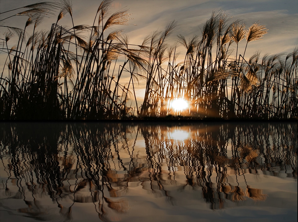 River lake wave