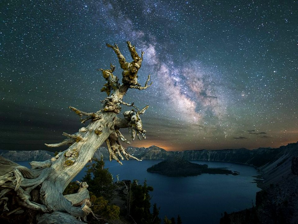 nature-3