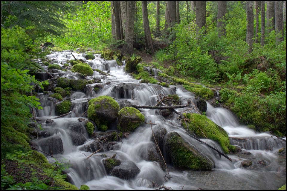 Salmon Creek Cascade,  Mt Hood National Forest