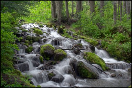 Salmon Creek Cascade,  Mt Hood National Forest