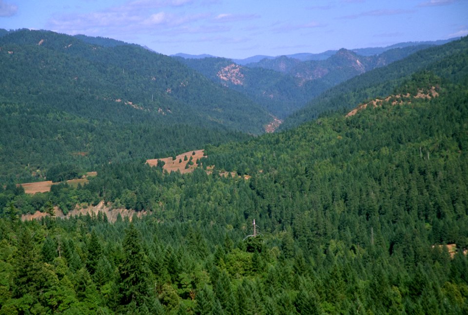 Forest Views, Rogue River-Siskiyou National Forest-2.jpg